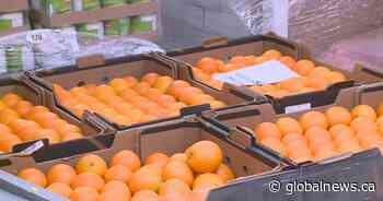 New Brunswick food banks grapple with increasing demand