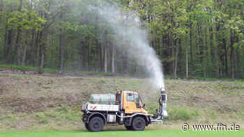 Bekämpfung des Eichenprozessionsspinners in Fulda beginnt - HIT RADIO FFH
