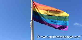 Music, dancing and giveaways planned for Youth Pride Durham on June 4 - durhamradionews.com