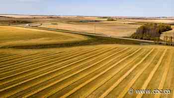 Growing season off to a rocky start as Prairie farmers contend with rain, snow, flooding
