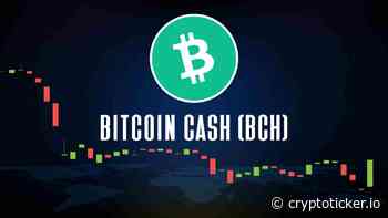 Bitcoin Cash Prognose - BCH bricht wichtige Unterstützung! Aussteigen? - CryptoTicker.io - Bitcoin Kurs, Ethereum Kurs & Crypto News