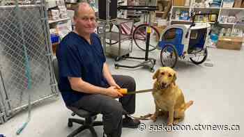 'They just had to suffer and be in pain': Sask. rural vet shortage affects pet owners, farmers