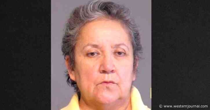 Report: Dem Pleads Guilty to Illegal Ballot-Harvesting; Her Lawyer Calls it Part of 'Voter Suppression'