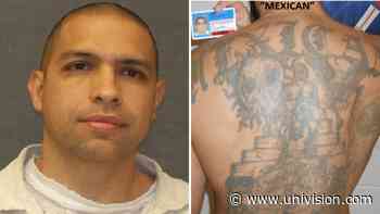 Hallan muerta a una familia del área de Houston: sospechoso sería un recluso fugitivo - Univision