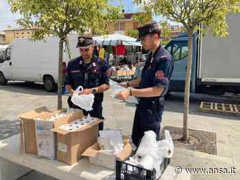 Forestali sequestrano 60 chili di buste di plastica a Modena - Agenzia ANSA