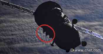 ISS Cosmonaut Spots Whimsical Space 'Stowaways'     - CNET