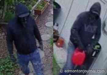 Police seek identity of suspects in June 2021 arson that killed two cats