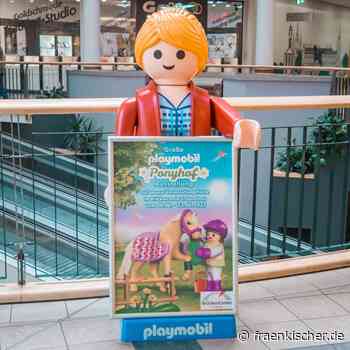 Reiterferien auf dem Ponyhof – Spiel und Spaß für Familien in Ansbach - fränkischer.de