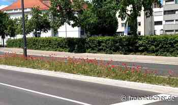 Ansbach putzt sich raus: Bepflanzung für die Landesausstellung - fränkischer.de