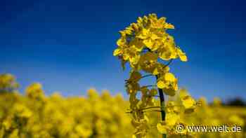 Großteil der deutschen Bauern auf der Gewinnerseite