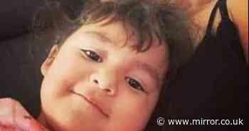 Grim new 'clue' spotted on toddler's finger which may solve mystery of missing mum - The Mirror