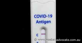 Aust importer fined over 13500 RAT haul - Western Advocate