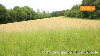 Aichach: Werden in Oberwittelsbach neue Bauplätze geschaffen? | Aichacher Nachrichten - Augsburger Allgemeine