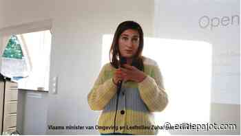 HERNE/PEPINGEN - Minister Zuhal Demir geeft duiding over het stikstofakkoord - Editiepajot