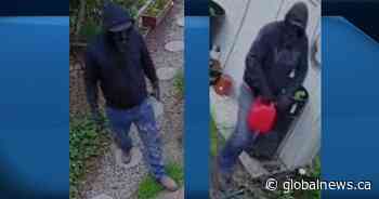 Edmonton police release images of arson suspects in connection with 2021 fire that killed 2 cats