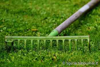 Albenga: a Quadriservice la manutenzione del verde pubblico | Liguria Business Journal - Bizjournal.it - Liguria
