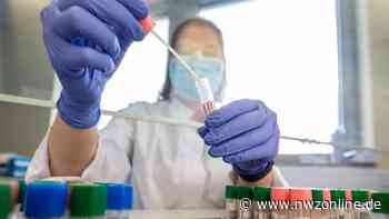 Wöchentliche Corona-Zahlen: 1501 Neuinfektionen im Kreis Cloppenburg - Nordwest-Zeitung