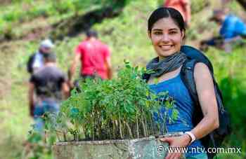 Propone Geraldine bajarle dos grados al calor en Tepic mediante arborización - NTV | El Portal de Nayarit