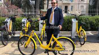 «Per Marina di Massa milioni di euro in opere pubbliche e decine di eventi. Falsità da Forza Italia» - voceapuana.com