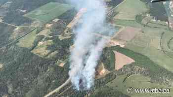 Wildfire near Rocky Mountain House sparks evacuations - CBC.ca
