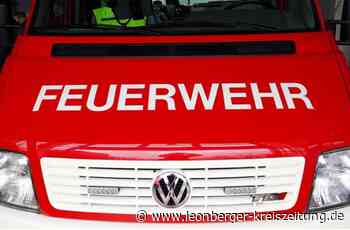 Feuerwehreinsatz in Leonberg - Mülleimer brennt im Ramtel - Leonberger Kreiszeitung