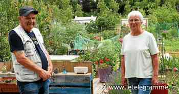 Lorient - Sans pluie, comment font les jardiniers à Lorient ? - Le Télégramme