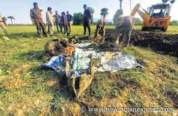 Odisha STF exhumes two jumbo carcasses; forest department buries head in sand - The New Indian Express