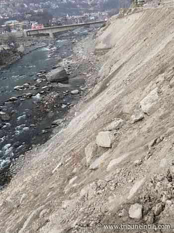 NHAI yet to pay Rs 1.15 cr penalty to Forest Dept - The Tribune India