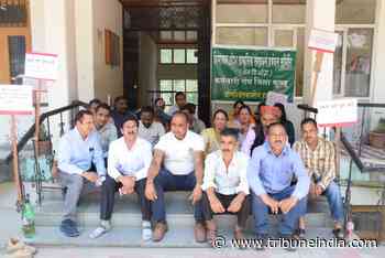 Staff working for Forest Dept seek regular jobs - The Tribune India