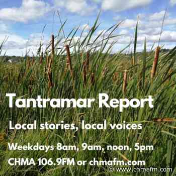 Sackville-based forest group aims to protect 2500 acres of Wabanaki forest » CHMA 106.9 FM - CHMA 106.9 FM