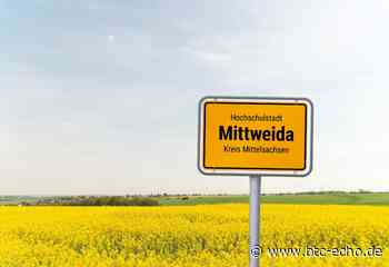 Das revolutionäre Blockchain-Dorf mitten in Sachsen - BTC-ECHO | Bitcoin & Blockchain seit 2014