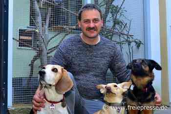 Frankenberger müssen für Hund draufzahlen - freiepresse.de