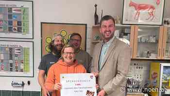 Kleinneusiedl - Verein "Katzfatz" ringt um Personal und Geld - NÖN.at