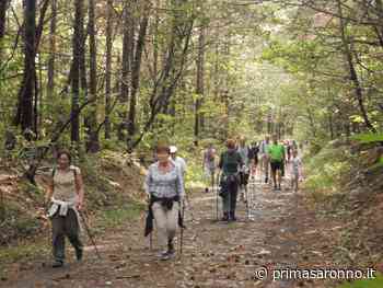 Dalla Regione 412mila euro per il Parco Pineta - Prima Saronno