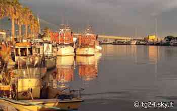 Caro gasolio, stop marineria Pescara 'anticipare fermo pesca' - Sky Tg24