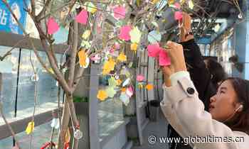 Artsy traffic boxes liven up NW China's frontier city - Global Times