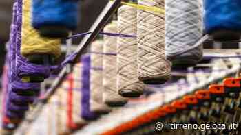 Arriva da Prato il gomitolo antistress - Il Tirreno