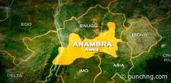 NHRC condemns killing of Fatima, four children in Anambra - Punch Newspapers