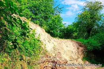 Sorge um den Sulzer Hohlweg - Lahr - Badische Zeitung