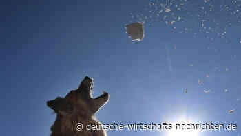 Amundi-Vorstand warnt vor "Schneeballsystem" bei Private Equity