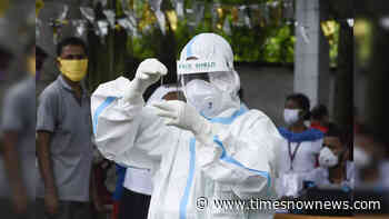 More trouble in store? Experts identify new coronavirus found in rodents - Times Now