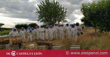 Zamora enseña a 17 apicultores a saborear la mejor miel de la provincia - EL ESPAÑOL