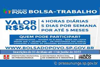 Pirassununga tem mais 40 vagas para o Programa Bolsa Trabalho do Governo - pirassununga.sp.gov.br