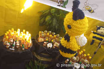 Exposição “O Mundo das Abelhas” - pirassununga.sp.gov.br
