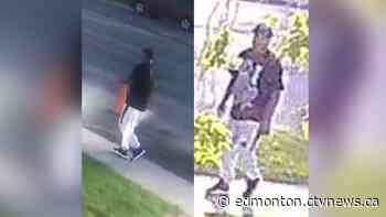 Woman sexually assaulted in west Edmonton, police searching for attacker - CTV News Edmonton