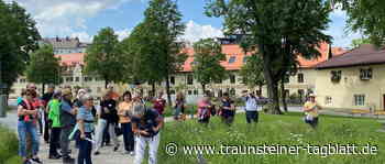 Traunstein: Unterwegs zur grünen Vielfalt in Traunstein - Traunsteiner Tagblatt