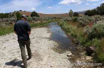 Nevada issuing fewer hunting tags as wildlife struggles with drought, fire