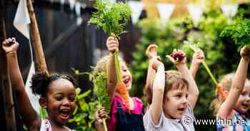 Inschrijvingen zomerprogramma van start | Linter | hln.be - Het Laatste Nieuws