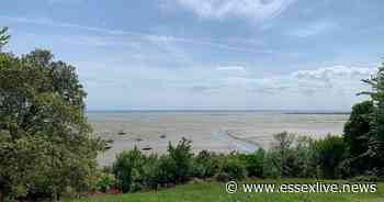 The sun is shining on Essex this weekend - Essex Live