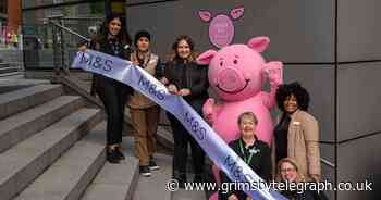 Percy Pig celebrates 30 years with pink plaque - Grimsby Live - Grimsby Live